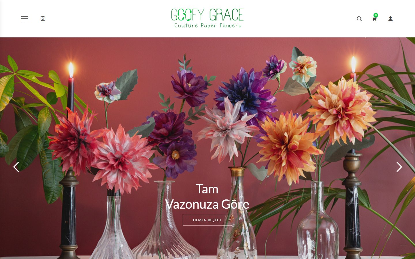 Goofy Grace — E-ticaret